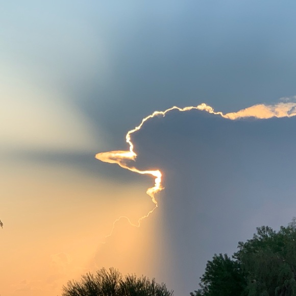 Meet your Posher, Larry - Picture 1 of 1